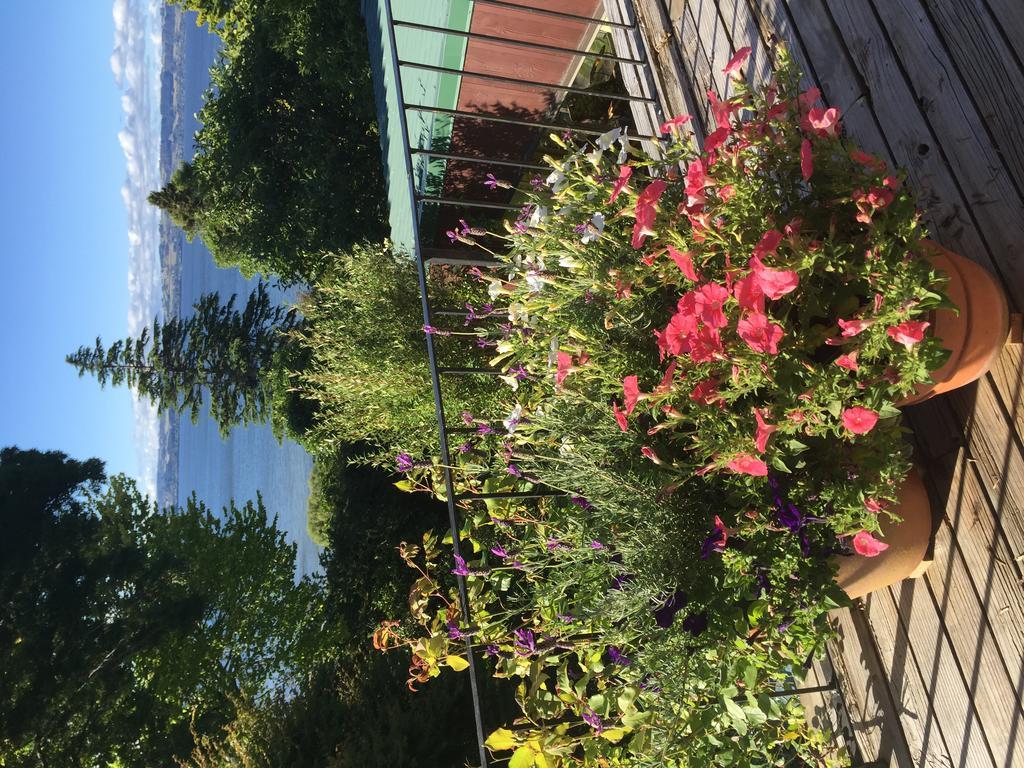 Lakeview Holiday Home Роторуа Экстерьер фото